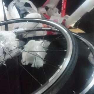 ピナレロアングリル