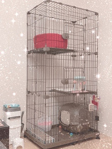 キャットケージ