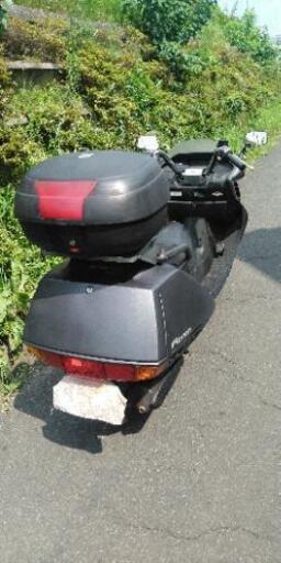 フュージョンX　ボックス付　(1224) フュージョンX ボックス付 (1224)