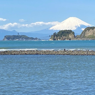 一緒に泳ぐ仲間を募集