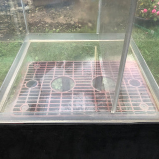 60cmワイド オーバーフロー水槽