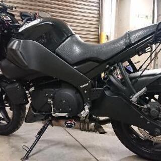 （再出品）ビューエル XB12ss 2009年モデル　ハーレー