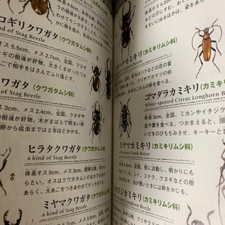 日本の生き物図鑑　