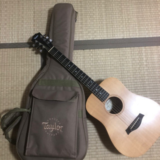  Taylor アコースティックギター