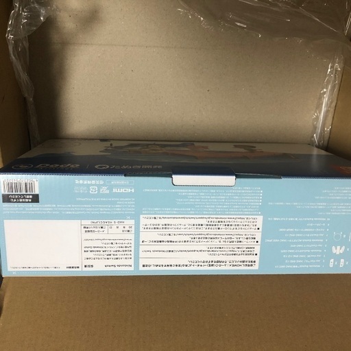 Nintendo Switch あつまれどうぶつの森セット