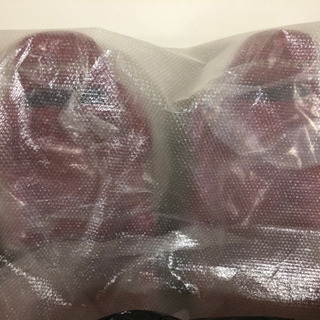 内装、インテリア RECARO レカロ ラプター raptor 2000脚限定 超美品 