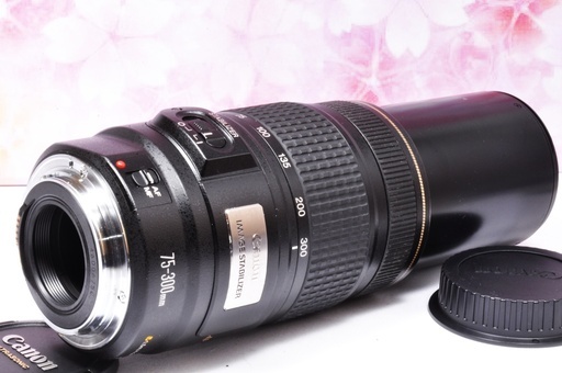 手ぶれ補正機能☆】Canon EF 75-300mm IS 超望遠レンズ | monsterdog