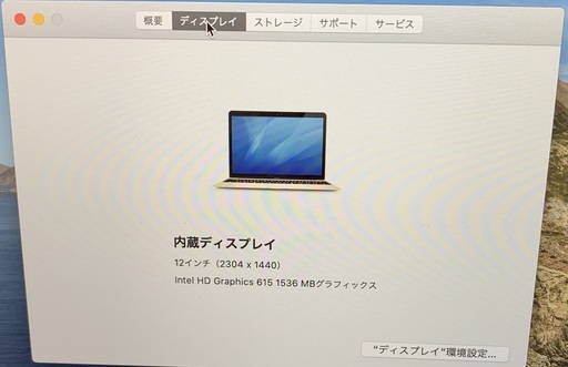 【シリアルNO_C02V32J8HH25】MacBook　(Retina，12-inch, 2017)