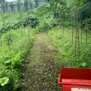 ハンマーナイフモア 各所整備 ナイフ刃新品交換済み
