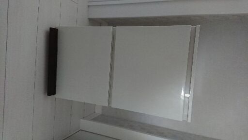 ゴミ箱 二段ペダル式