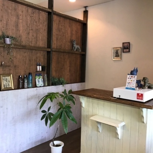 トリミングカットモデル募集 Jolie Dog 箕面の犬の無料広告 無料掲載の掲示板 ジモティー トリミングカットモデル募集 Jolie Dog 箕面の犬の無料広告 無料掲載の掲示板 ジモティー