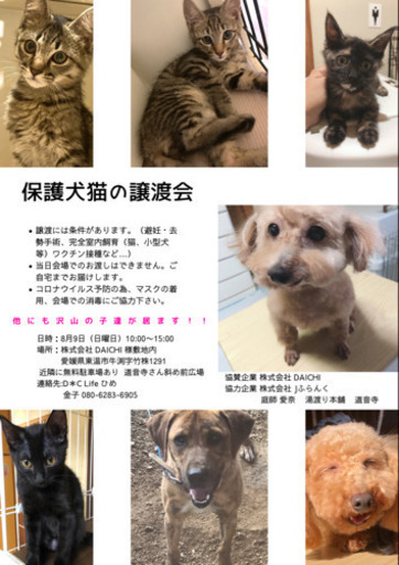 保護犬猫の譲渡会を開催いたします D C Lifeひめ 見奈良のその他のイベント参加者募集 無料掲載の掲示板 ジモティー