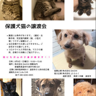 保護犬猫の譲渡会を開催いたします！