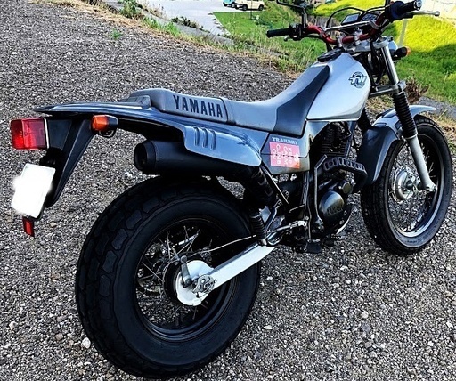 YAMAHA ヤマハ　TW200  2JL 　希少ノーマル車　低走行車 　個人出品