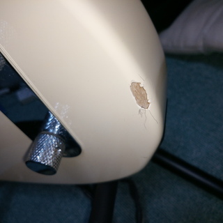 フェンダー　Ｆｅｎｄｅｒ　ギター　TELECASTER