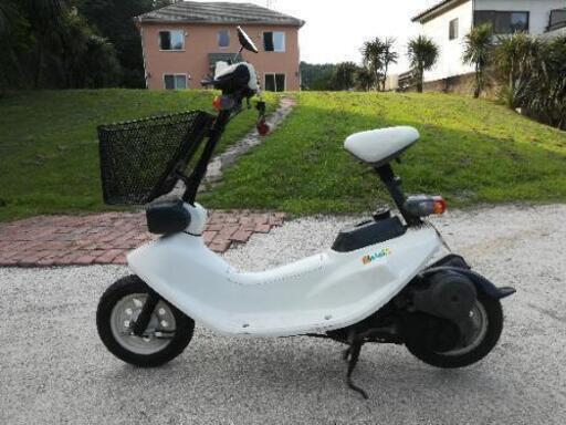 ズーク ZOOK 実働 キャンピングカーに乗ります