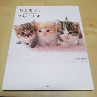【お話し中】なんらかの　猫の写真の本