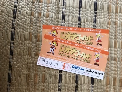 テーマパーク/遊園地 レオマワールド 8/12までの出品 最終値下げしました
