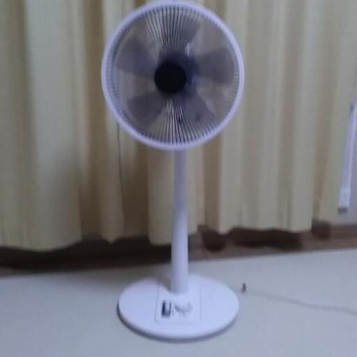 [受け渡し者決まりました]扇風機　1年落ち極上品