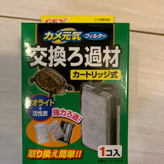 中古亀飼が無料 格安で買える ジモティー