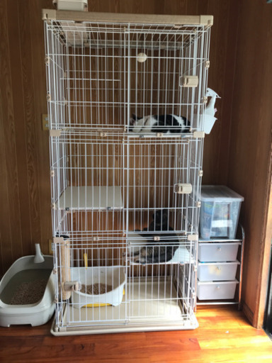 猫用　ゲージ　と　トイレ