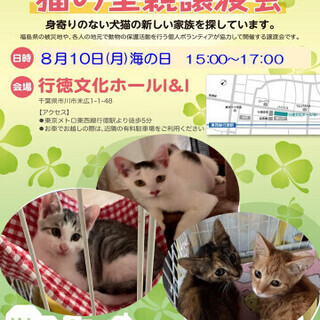 8/10(月）猫の里親譲渡会　開催　／市川市　行徳