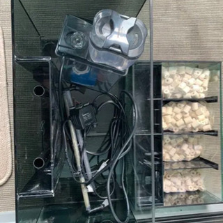 値段した【水槽】GEX アグス ４５０(淡水 海水用) セット