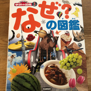 お譲りする方が決まりました！！なぜ？の図鑑