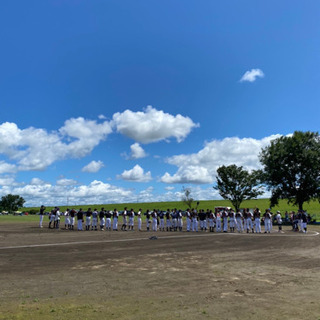 武蔵小杉、元住吉　周辺で野球やりたい人