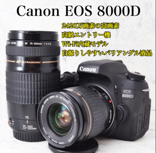 今年の新作から定番まで！ 高級エントリー●Wi-Fi内蔵●簡単自撮り●2420万画素●キャノン 8000D 安心のゆうパック代引き発送！送料、代引き手数料無料！ デジタル一眼