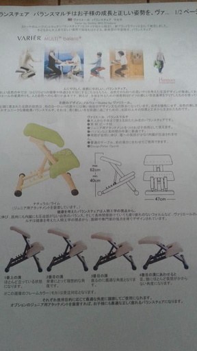 北欧(ノルウェー）ヴァリエール　バランスチェア  レッド(正規品)