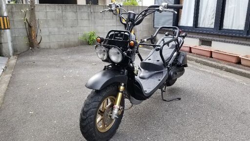 ホンダ Zoomer ズーマー レストア途中 【公式通販】