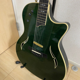 テイラーt5 c1 グリーン　純正ハードケース付き