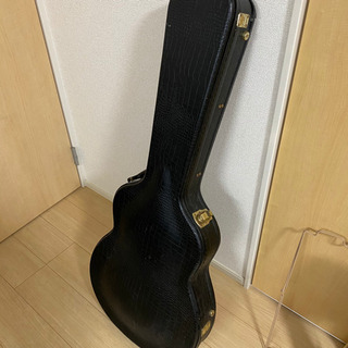 テイラーt5 c1 グリーン　純正ハードケース付き