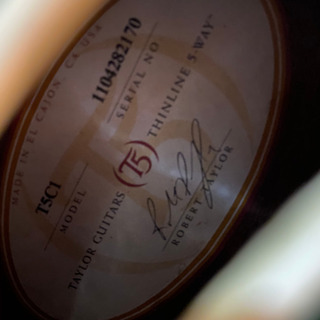 テイラーt5 c1 グリーン　純正ハードケース付き