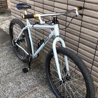 サーリーカラテモンキー