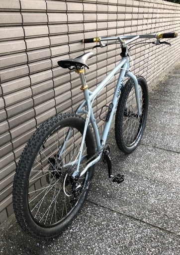 サーリーカラテモンキー