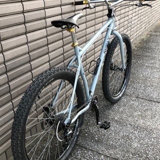 サーリーカラテモンキー