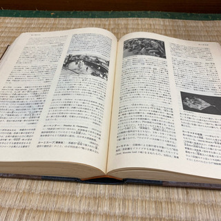 沖縄大百科事典 沖縄大百科事典 全4巻 | 古書店うみつばめ