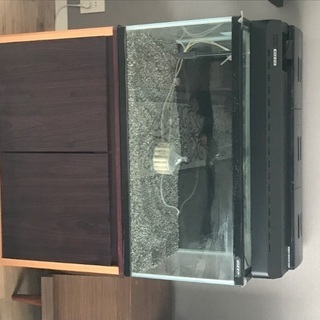 取り来て頂ける方限定 90cm水槽 台付き iranflexibleduct.com