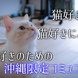 【沖縄×猫】猫好きの、猫好きによる、猫好きのためのコミュニティ！
