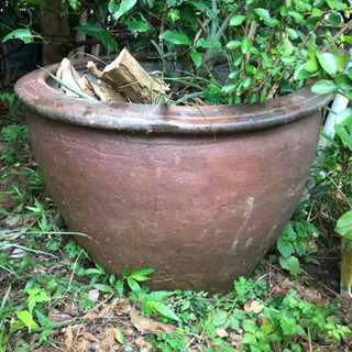 中古大きい植木鉢が無料 格安で買える ジモティー 中古大きい植木鉢が無料 格安で買える ジモティー