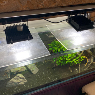 ガラス水槽120-高さ36-奥行45、水槽台、棚セット
