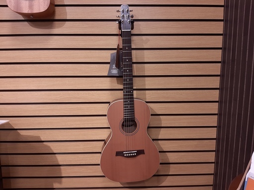 Seagull  アコースティックギター　Coastline Grand  【新響楽器　甲子園店】