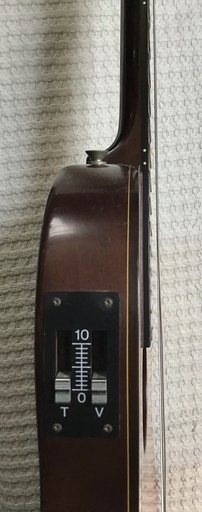 エレガットギター モーリス groovin Morris GROOVIN エレガットギター