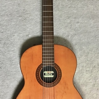 モーリス groovin'エレガット ヴィンテージ】Morris GrooVin PA-17G