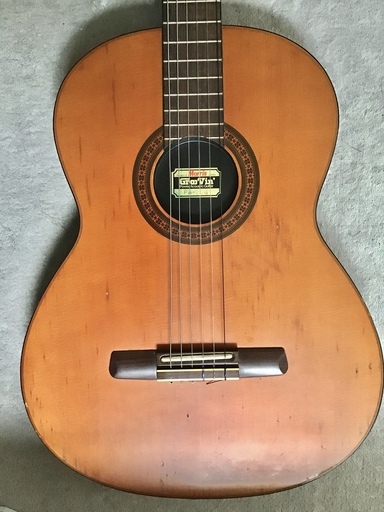 エレガットギター モーリス groovin Groovin Morris TG-60 モーリス