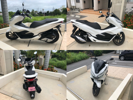ホンダ PCX JF81