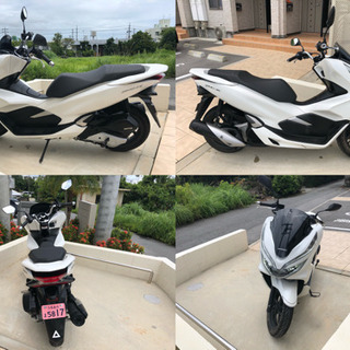 ホンダ PCX JF81