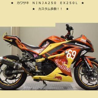 カスタムパーツ多数！　NINJA250 実働　即乗り　CBR25...